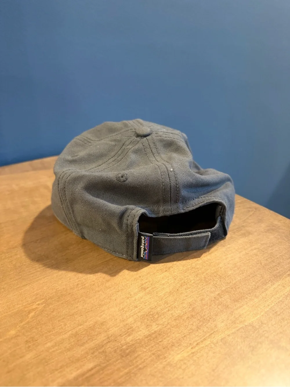 Patagonia embroidered hat